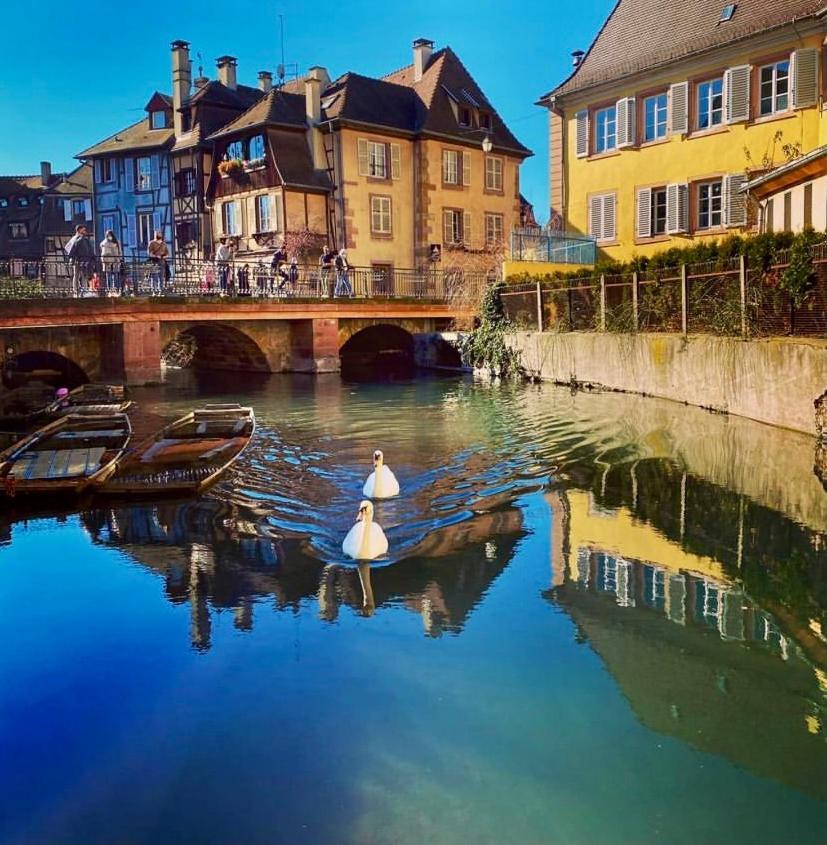 Maison 1708 - Rue Du Canard - City Center Colmar Zewnętrze zdjęcie