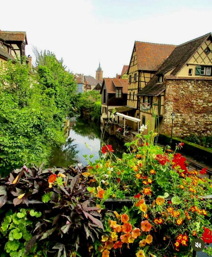 Maison 1708 - Rue Du Canard - City Center Colmar Zewnętrze zdjęcie